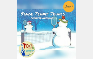 🎾 Stage Perfectionnement Tennis  Jeunes ⛄