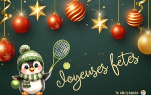 JOYEUSES FÊTES ! 💫✨