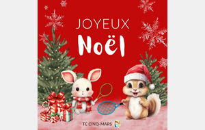 JOYEUX NOËL ! 🎅🦌