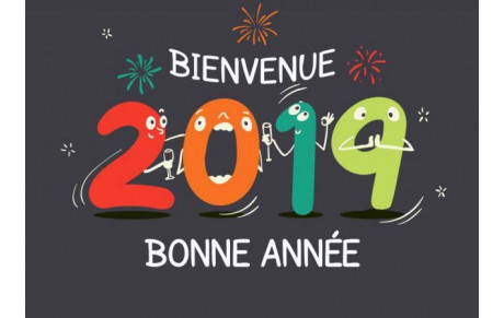 Bonnée année 2019 !