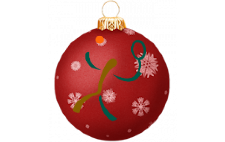 Joyeuses fêtes !