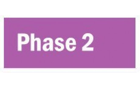 Phase 2