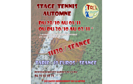 🎾 Stage Tennis Automne Jeunes 🍁