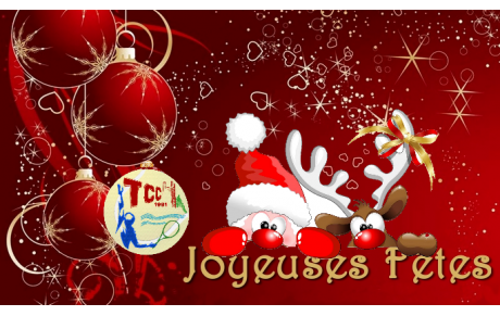 Joyeuses Fêtes !