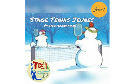 🎾 Stage Perfectionnement Tennis  Jeunes ⛄